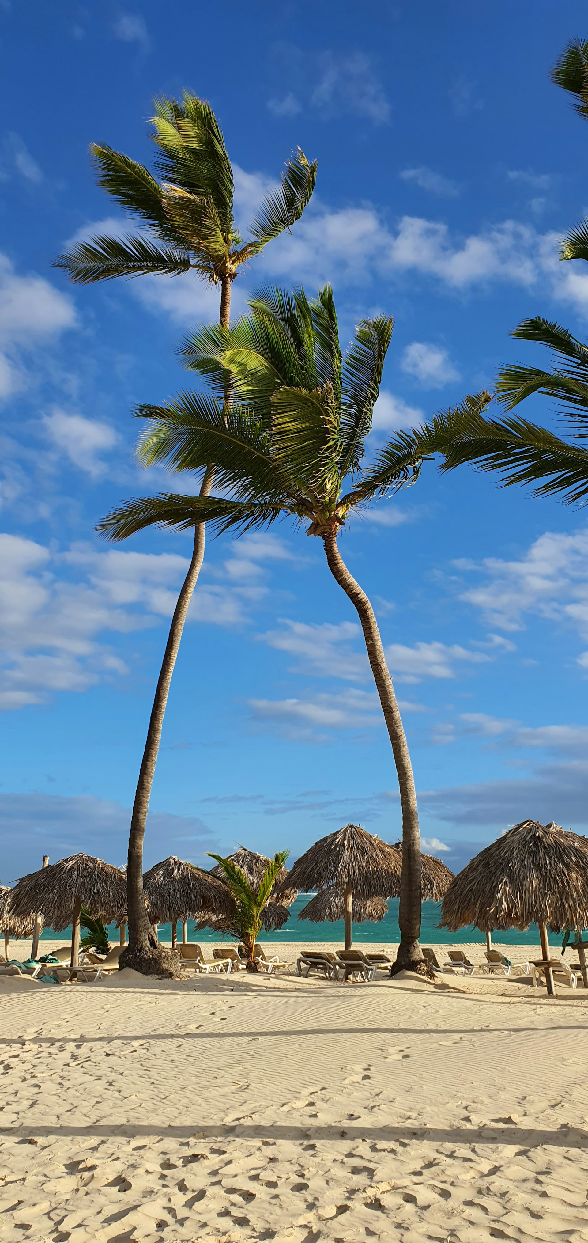 Vista de República Dominicana